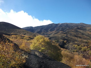 nte Zappinazzo-04-11-2012 10-51-27